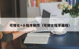黔东南可视化+小程序制作（可视化程序编程）